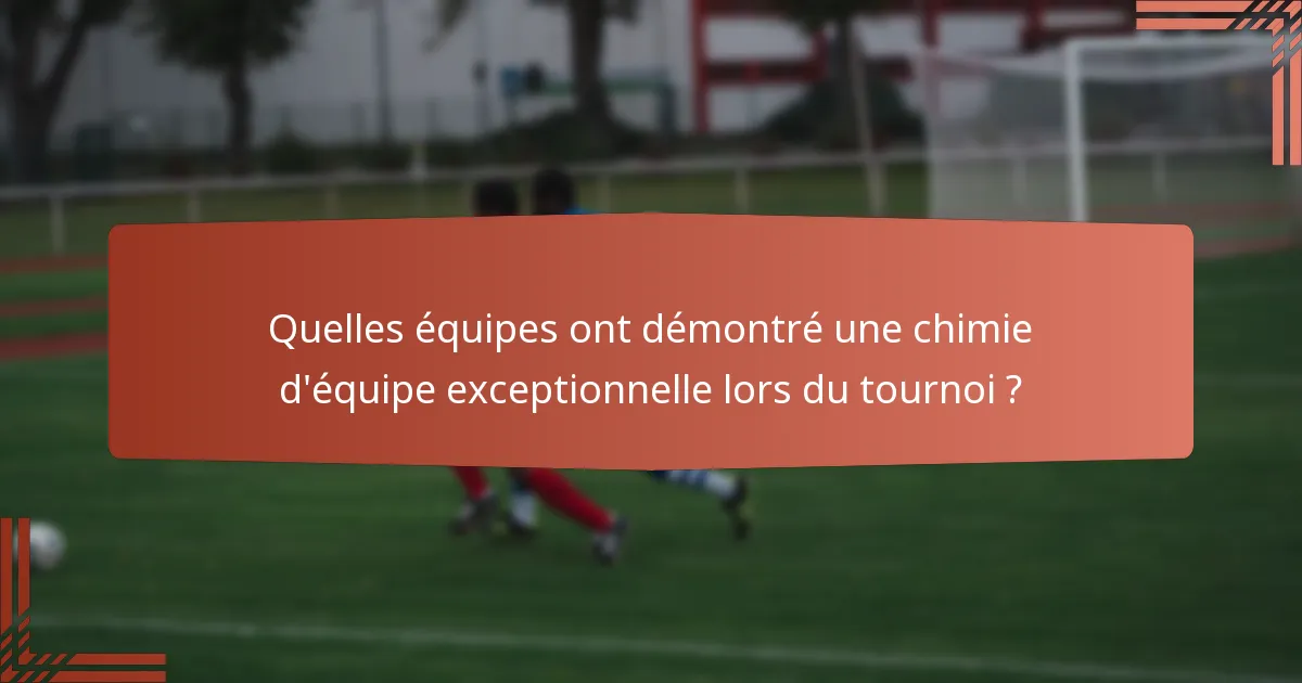 Quelles équipes ont démontré une chimie d'équipe exceptionnelle lors du tournoi ?